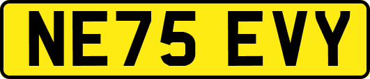 NE75EVY