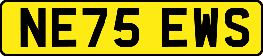 NE75EWS