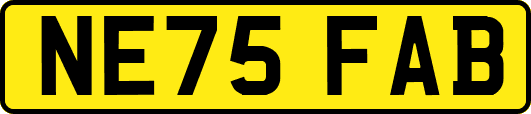 NE75FAB