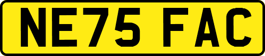 NE75FAC