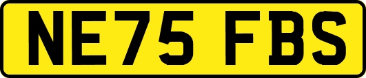NE75FBS