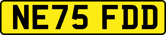 NE75FDD