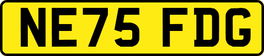 NE75FDG