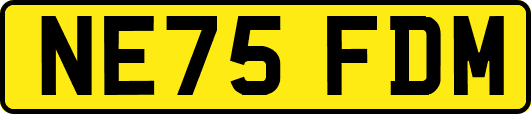 NE75FDM