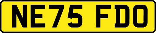 NE75FDO