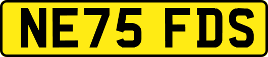 NE75FDS