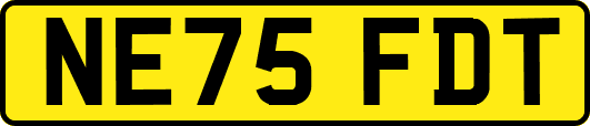 NE75FDT