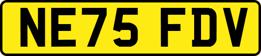 NE75FDV