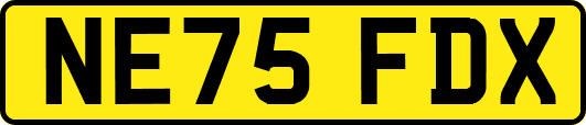 NE75FDX