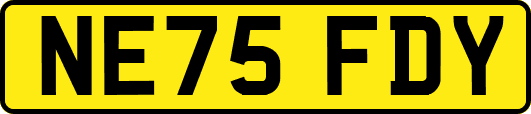 NE75FDY