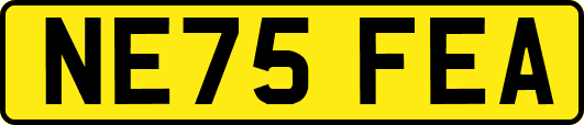 NE75FEA