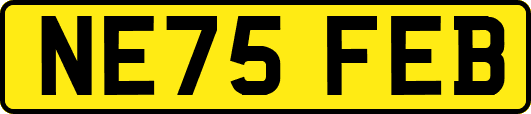 NE75FEB