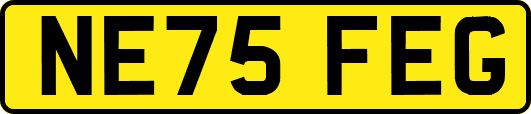 NE75FEG
