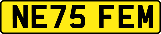 NE75FEM