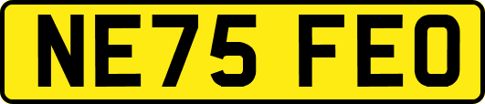 NE75FEO