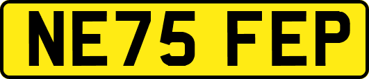 NE75FEP