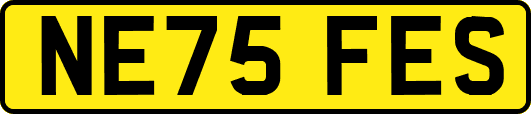 NE75FES