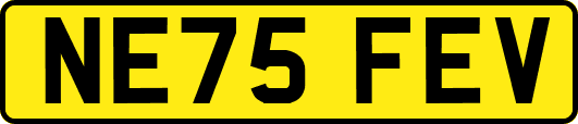 NE75FEV