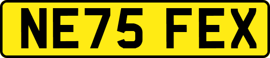 NE75FEX