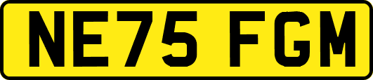 NE75FGM