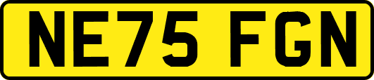 NE75FGN