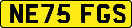 NE75FGS