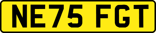NE75FGT