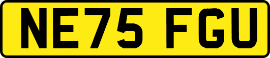 NE75FGU