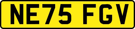 NE75FGV