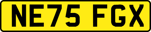 NE75FGX