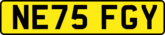 NE75FGY
