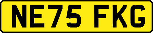 NE75FKG