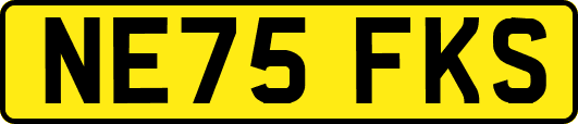 NE75FKS