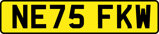 NE75FKW