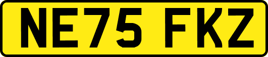 NE75FKZ