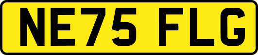 NE75FLG