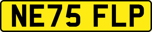 NE75FLP