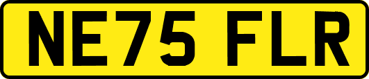 NE75FLR