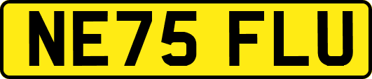 NE75FLU
