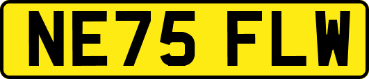 NE75FLW