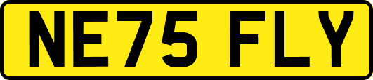 NE75FLY
