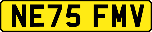 NE75FMV