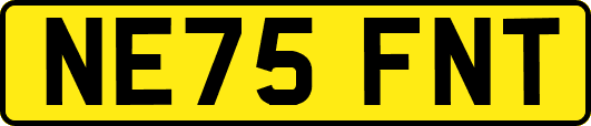 NE75FNT