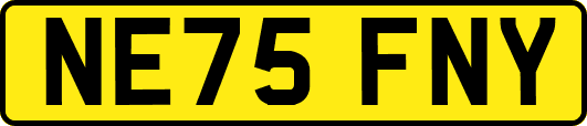 NE75FNY