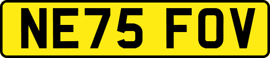NE75FOV