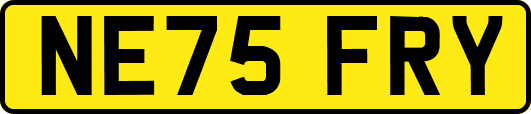 NE75FRY