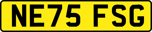 NE75FSG