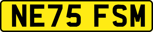 NE75FSM
