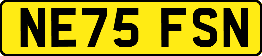 NE75FSN