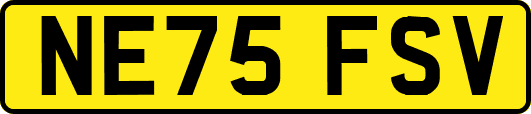 NE75FSV
